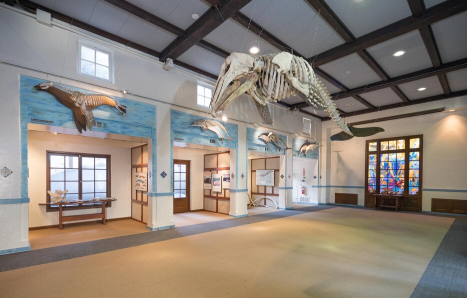 Museum with fish bones.