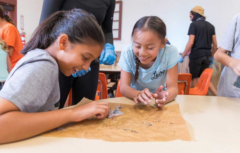 Kids dissecting squids.