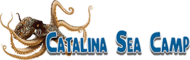 Catalina Sea Camp logo.