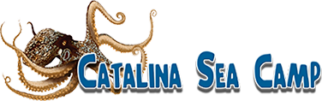 Catalina Sea Camp logo.