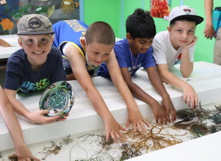 Boys smiling with hands in water.