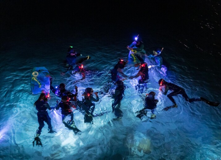 Night snorkeling.