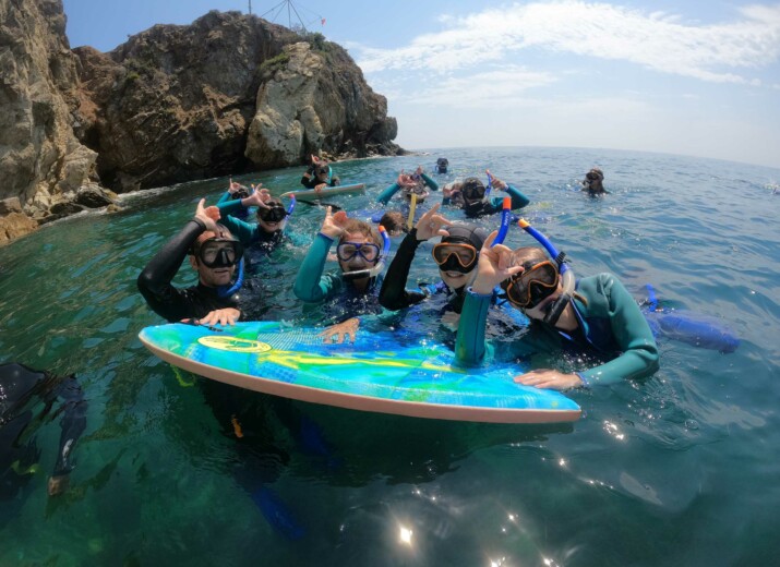 Snorkeling group in water.